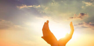 华传电子周报906