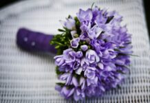 敬虔時刻/20-12-2025/今日經文:約書亞21:27~45 bouquet, flowers, flower arrangement, beautiful flowers, flower background, purple flowers, flower wallpaper, flower bouquet, nature, wedding bouquet, bridal bouquet, closeup-168831.jpg