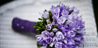 敬虔時刻/18-03-2026/今日經文:馬太24:1~14 bouquet, flowers, flower arrangement, beautiful flowers, flower background, purple flowers, flower wallpaper, flower bouquet, nature, wedding bouquet, bridal bouquet, closeup-168831.jpg