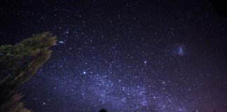 华传电子周报945