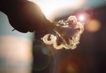 認識上帝,哪怕不明白祂的作為