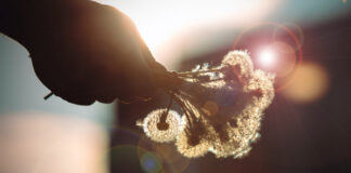 認識上帝,哪怕不明白祂的作為