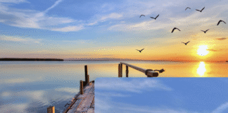 你需要,就可得到