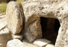 力量之窗-婦女們