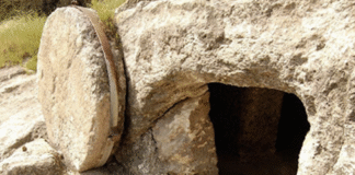 力量之窗-妇女们